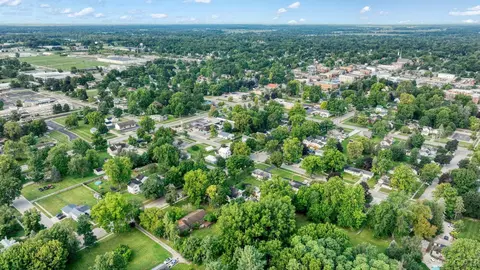 View/Area - 506 E Logan, Tecumseh, MI 49286 photo 7 of 9