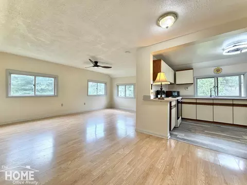 Living - 115 E Grand Riv #1B/1B, Bancroft, MI 48414 photo 6 of 9