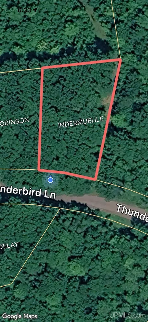 On Thunderbird, Wakefield, MI 49968 photo 14