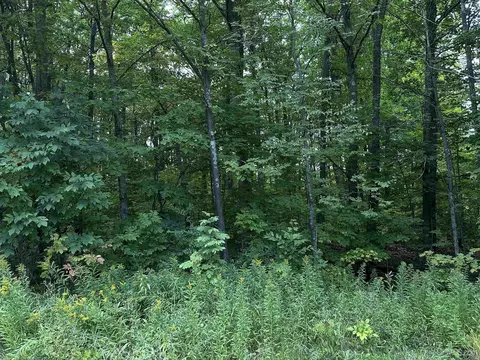 On Thunderbird, Wakefield, MI 49968 photo 5