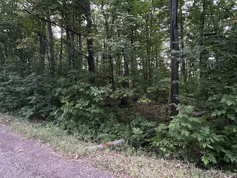 On Thunderbird, Wakefield, MI 49968 photo 3