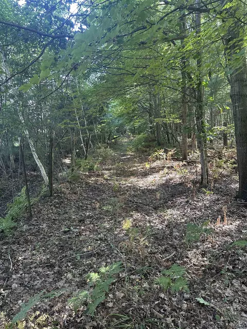 Other - 175 W M 61, Gladwin, MI 48624 photo 12 of 17