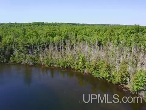33 Acres La Fave, Goodman T-wi, WI 54125