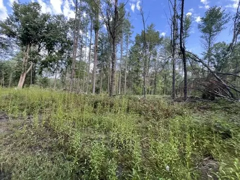 Other - 700 S Jackson, Harrison, MI 48625 photo 10 of 12