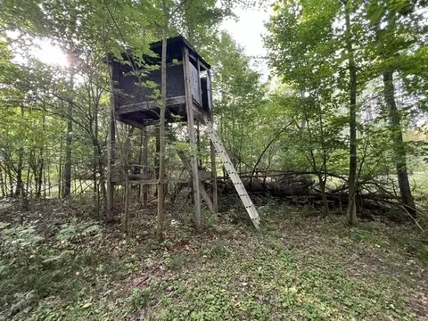 Exterior - 700 S Jackson, Harrison, MI 48625 photo 9 of 15