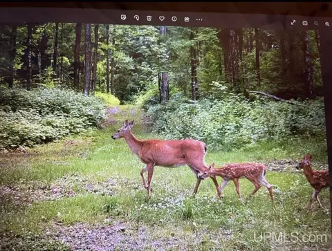 Other - 1647 W Edge, Germfask, MI 49836 photo 9 of 14