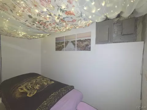 Bedroom - 133 N Wisner, Jackson, MI 49202 photo 11 of 12
