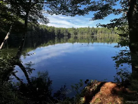 tbd Ackerman Lk, Au Train, MI 49862 photo 6