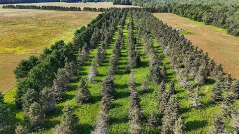 tbd Et Rd, Eben Junction, MI 49825 photo 2