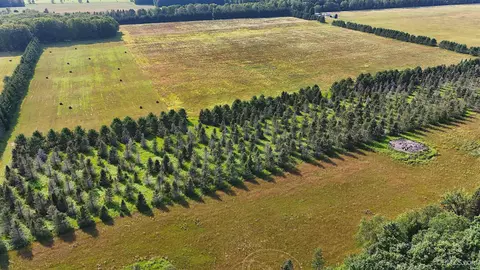 tbd Et Rd, Eben Junction, MI 49825 photo 3