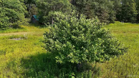 tbd Et Rd, Eben Junction, MI 49825 photo 5