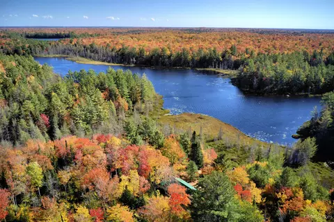 View/Area - 9798 Ross Lk, Shingleton, MI 49884 photo 4 of 5