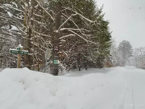 Other - 9798 Ross Lk, Shingleton, MI 49884 photo 2 of 2