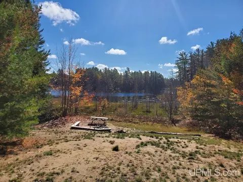 View/Area - 9798 Ross Lk, Shingleton, MI 49884 photo 2 of 5