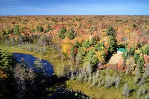 View/Area - 9798 Ross Lk, Shingleton, MI 49884 photo 3 of 5