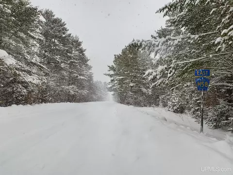 Other - 9798 Ross Lk, Shingleton, MI 49884 photo 1 of 2