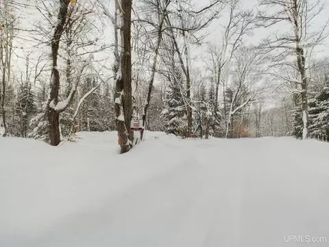 Exterior - 9798 Ross Lk, Shingleton, MI 49884 photo 3 of 3