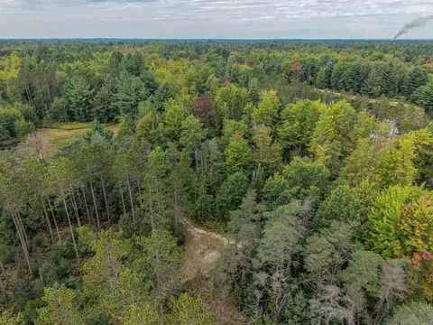 111 W 52 Acres W M61, Gladwin, MI 48624 photo 10
