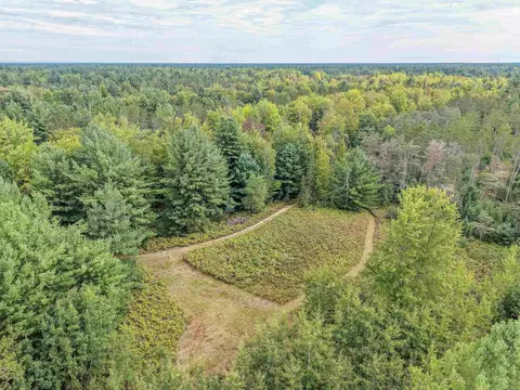 111 W 52 Acres W M61, Gladwin, MI 48624 photo 9