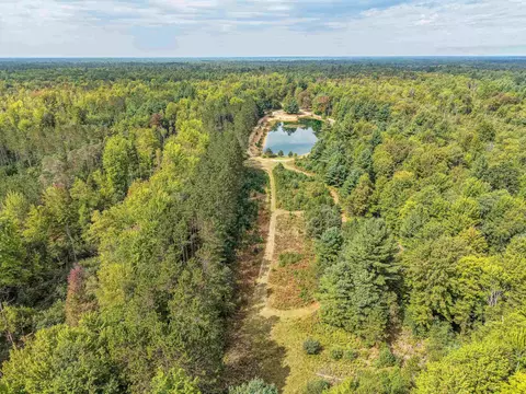 111 W 52 Acres W M61, Gladwin, MI 48624 photo 6