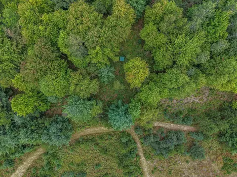 111 W 52 Acres W M61, Gladwin, MI 48624 photo 12