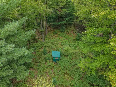 111 W 52 Acres W M61, Gladwin, MI 48624 photo 11