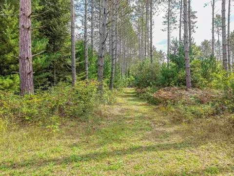 111 W 52 Acres W M61, Gladwin, MI 48624 photo 16