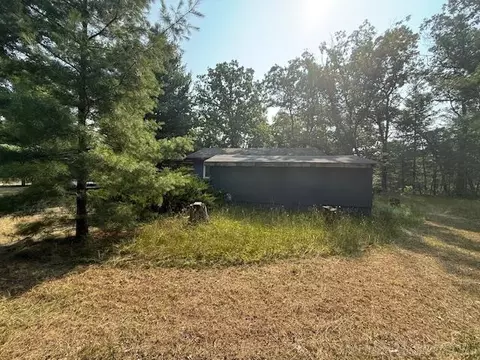 Exterior - 1804 Coolidge, Bitely, MI 49309 photo 4 of 6