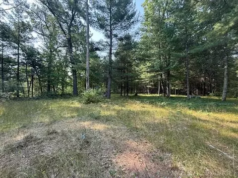 Exterior - 1804 Coolidge, Bitely, MI 49309 photo 6 of 6