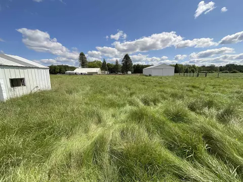Exterior - 191 N Hockaday, Gladwin, MI 48624 photo 13 of 16