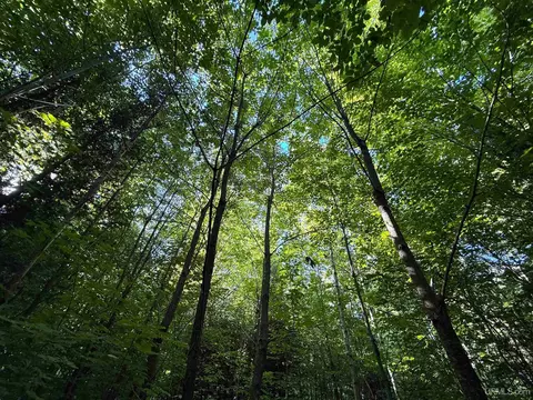 Camp 23, Germfask, MI 49836 photo 22
