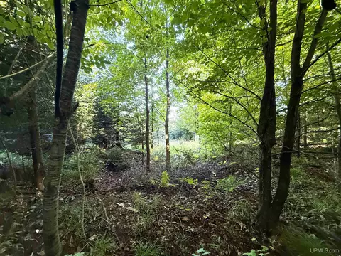 Camp 23, Germfask, MI 49836 photo 7
