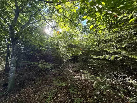 Camp 23, Germfask, MI 49836 photo 8