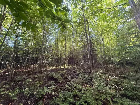 Camp 23, Germfask, MI 49836 photo 21