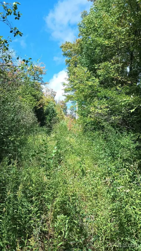 tbd Pierce, Wakefield, MI 49968 photo 6