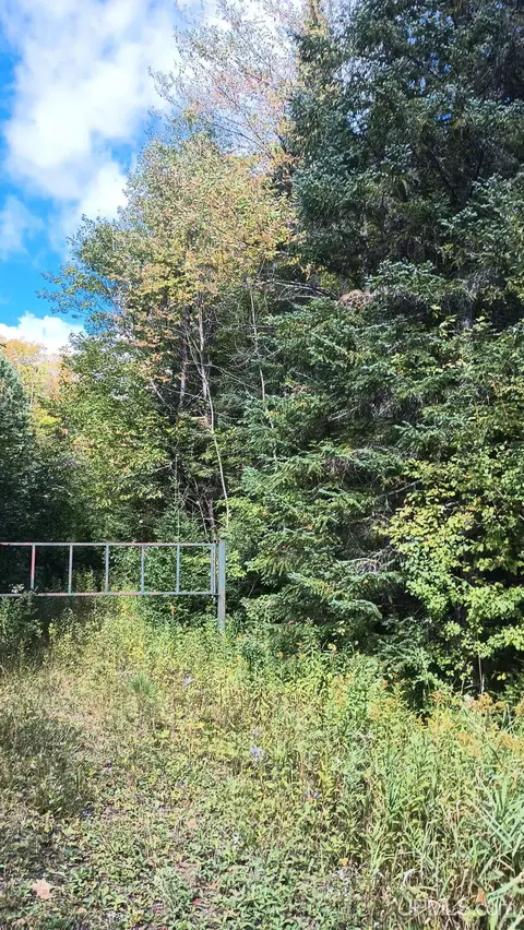 tbd Pierce, Wakefield, MI 49968 photo 3