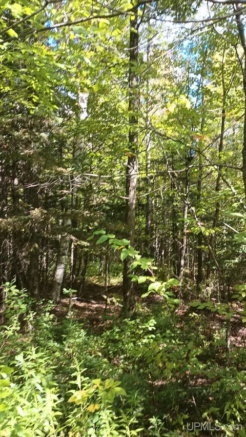 tbd Pierce, Wakefield, MI 49968 photo 8