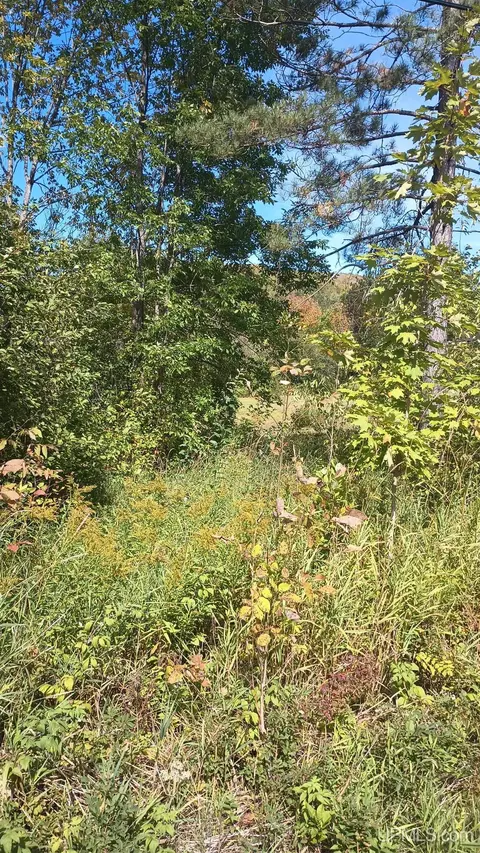 tbd Pierce, Wakefield, MI 49968 photo 2