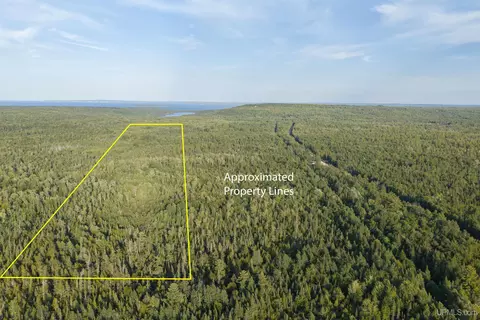 tbd 120 Acres Parcel B Off Deerton, Deerton, MI 49822