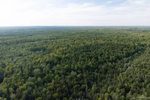 tbd 40 Acres A Off Diffin, Limestone, MI 49816 photo 5