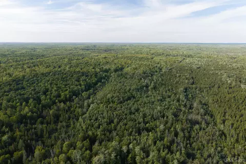 tbd 40 Acres A Off Diffin, Limestone, MI 49816 photo 3