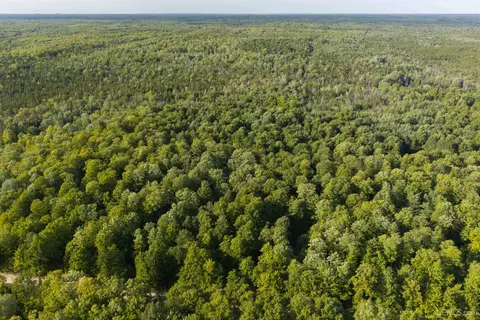 tbd 40 Acres A Off Diffin, Limestone, MI 49816 photo 8