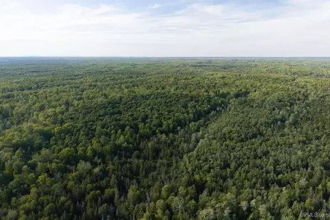 tbd 40 Acres A Off Diffin, Limestone, MI 49816 photo 4