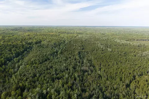 tbd 40 Acres A Off Diffin, Limestone, MI 49816 photo 2