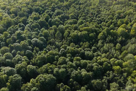 tbd 40 Acres Parcel B Diffin, Limestone, MI 49816 photo 10