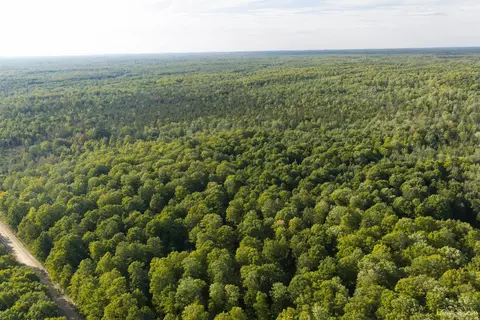 tbd 40 Acres Parcel B Diffin, Limestone, MI 49816 photo 8