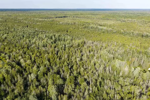 tbd 40 Acres Parcel B Diffin, Limestone, MI 49816 photo 12