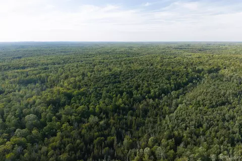 tbd 40 Acres Parcel B Diffin, Limestone, MI 49816 photo 14