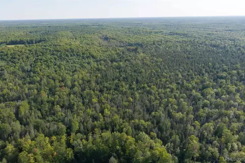 tbd 40 Acres Parcel B Diffin, Limestone, MI 49816 photo 2