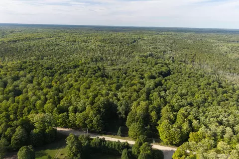 tbd 40 Acres Parcel B Diffin, Limestone, MI 49816 photo 5
